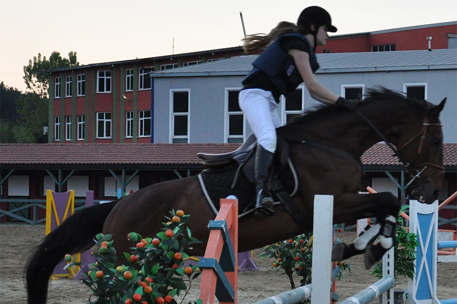 Polonezköy Yetişkin Binicilik Eğitimleri