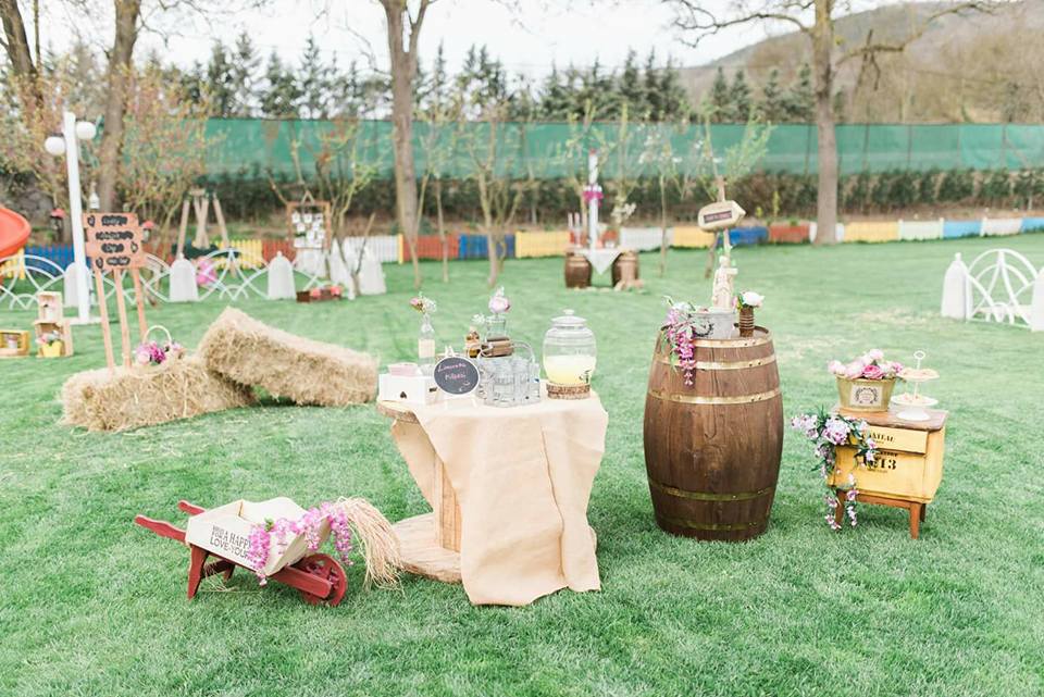 Özel Organizasyon Mekanları