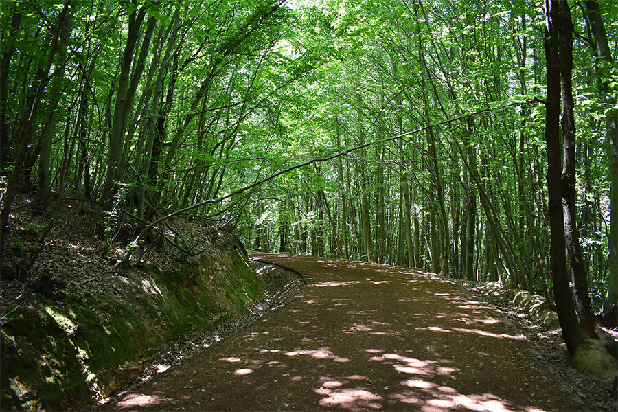 Polezköy'de Gezilecek Yerler