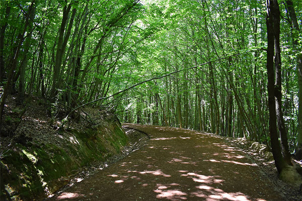 Polezköy'de Gezilecek Yerler